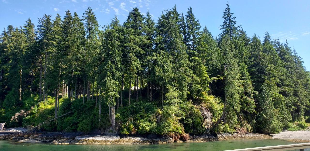 Villa A Shack In The Woods Port Renfrew Exterior foto