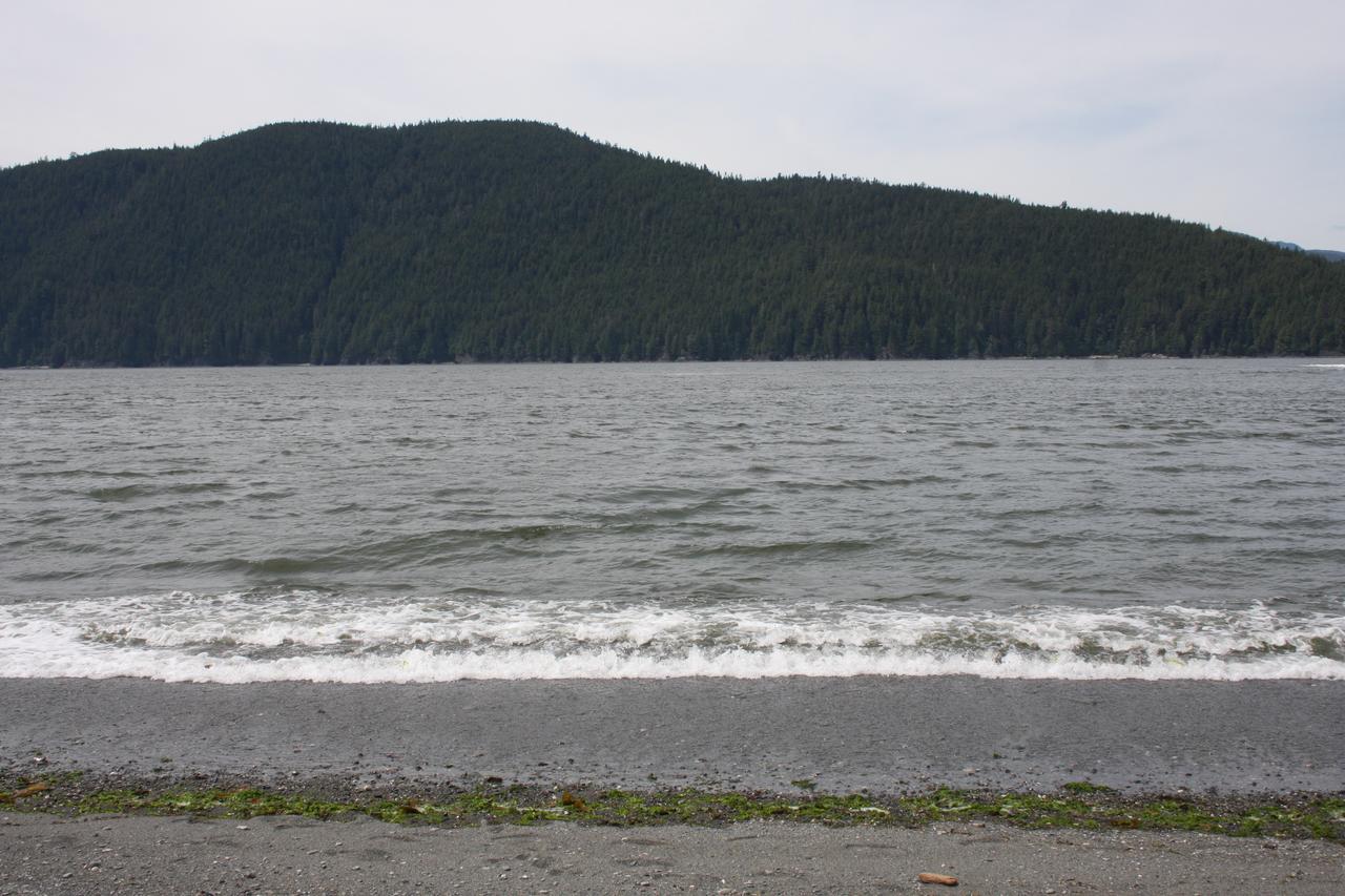 Villa A Shack In The Woods Port Renfrew Exterior foto